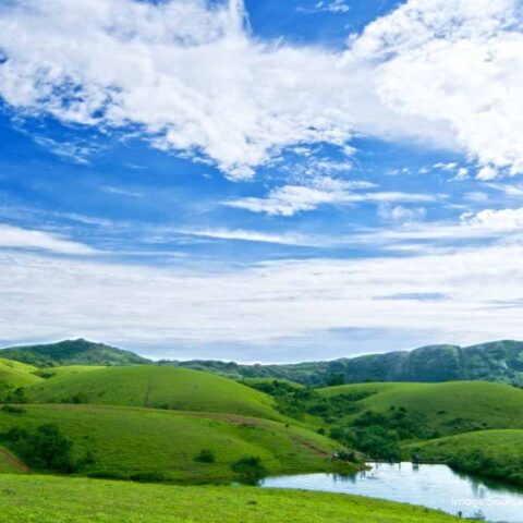 Vagamon Meadows 