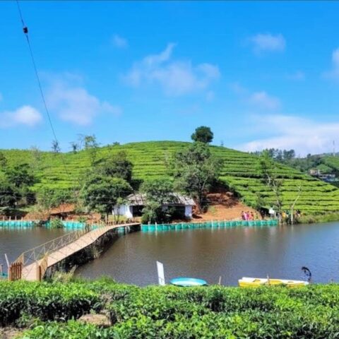 Vagamon Tea Lake Boating