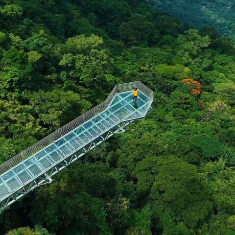 Vagamon Glass Bridge